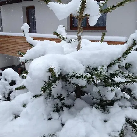 Kopp Lägenhet Fügen